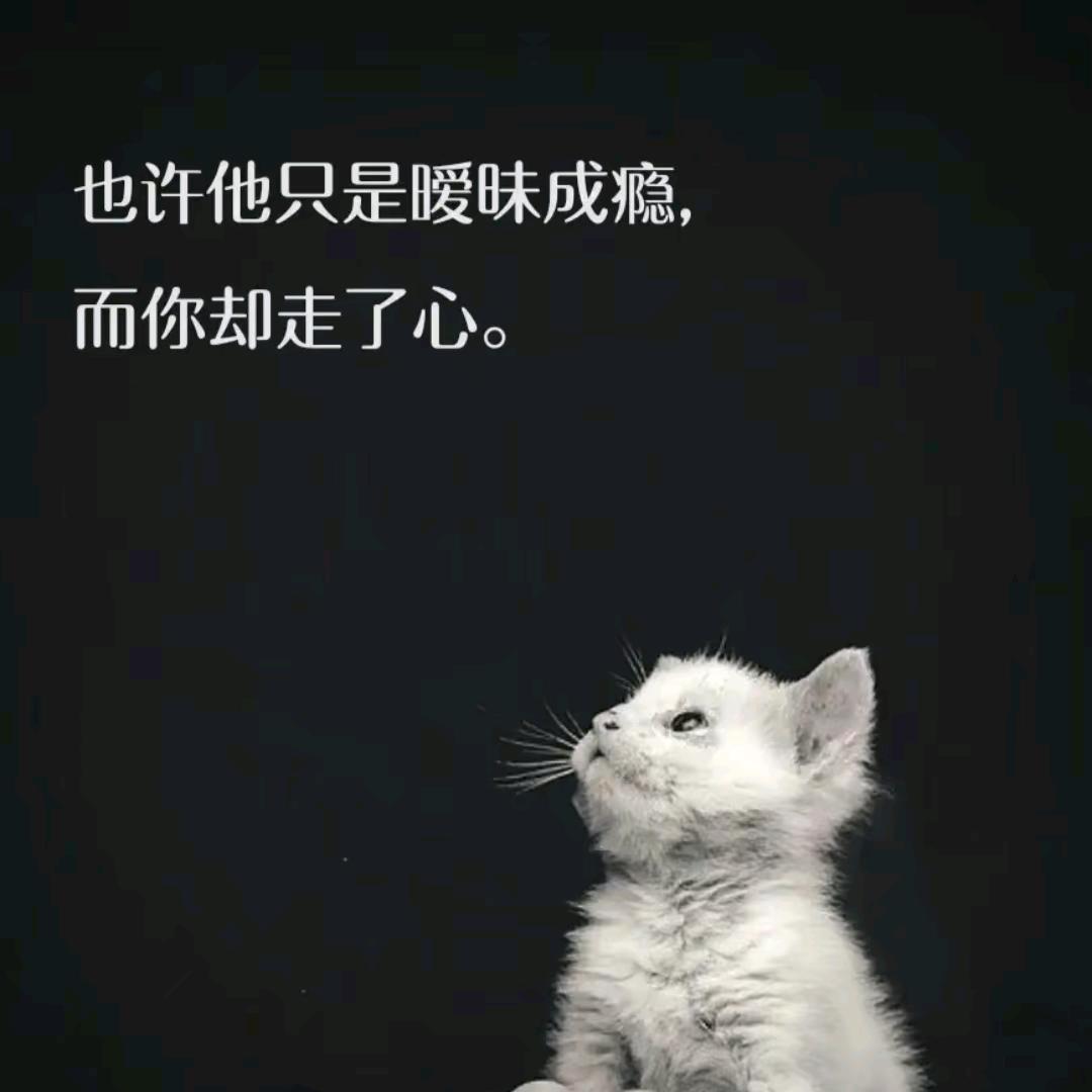 💞ঞᩚ᭄零度温柔ꦿꕥ້໌ᮨ💕