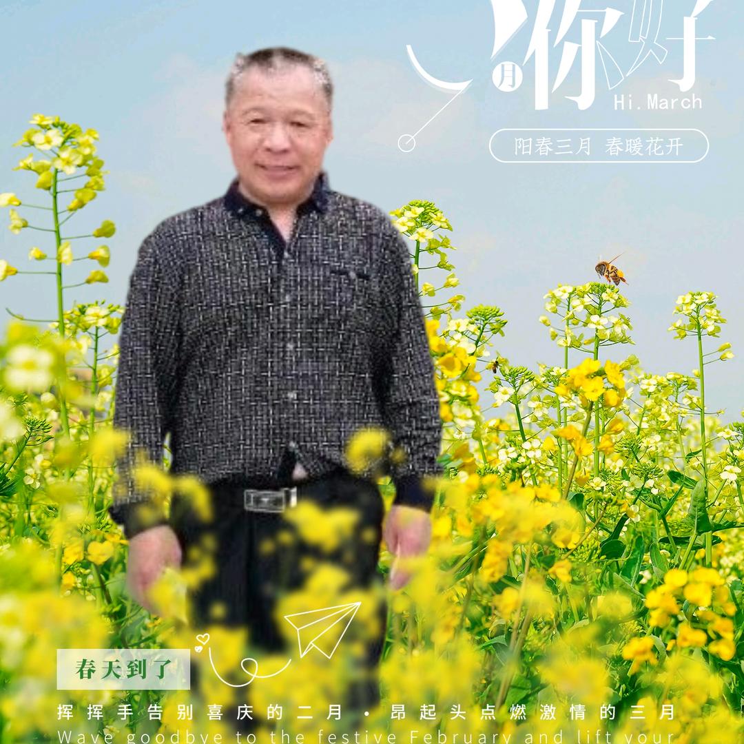 草上飞鹰