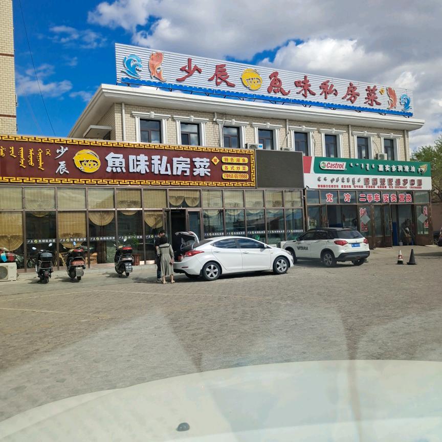 少辰鱼味