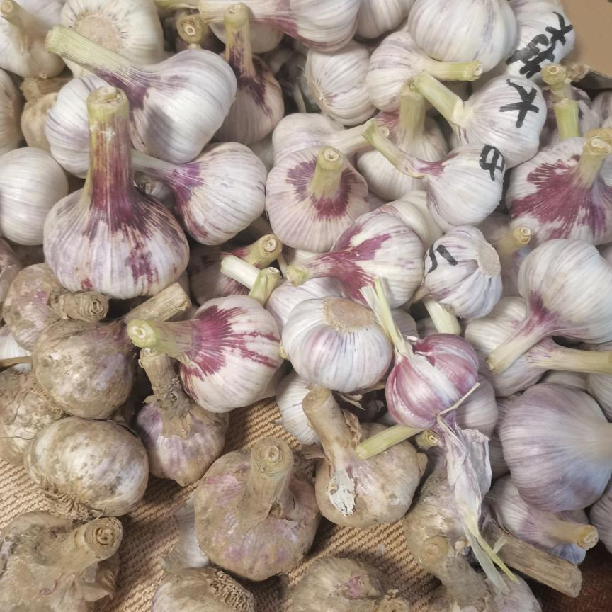 河南生农达农业