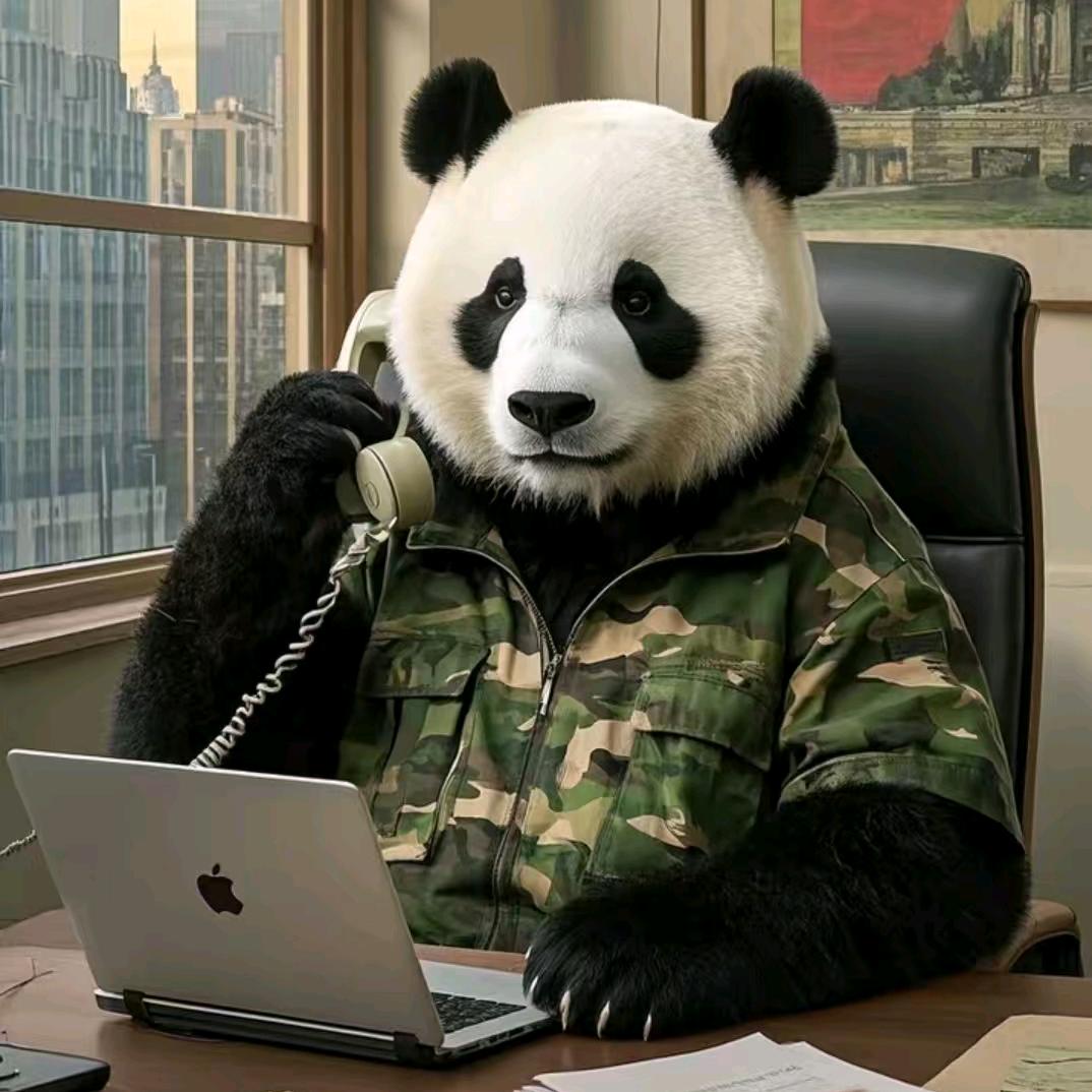 熊猫大侠闯江湖