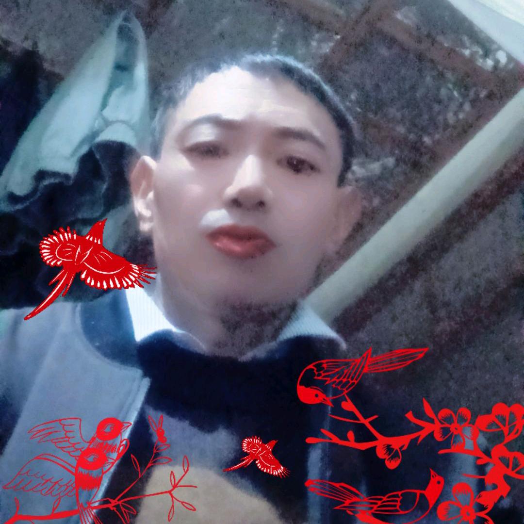 云南王哥
