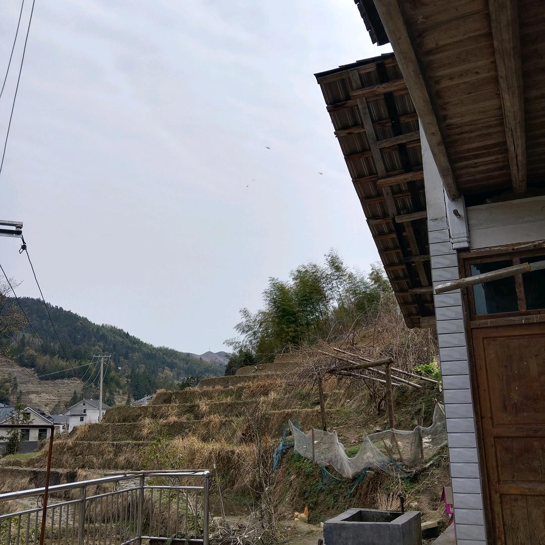 奉建涛