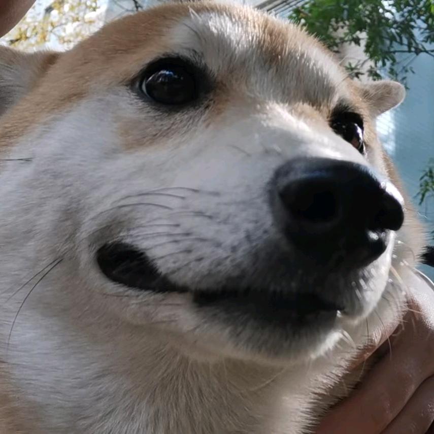 我吃吃吃吃吃