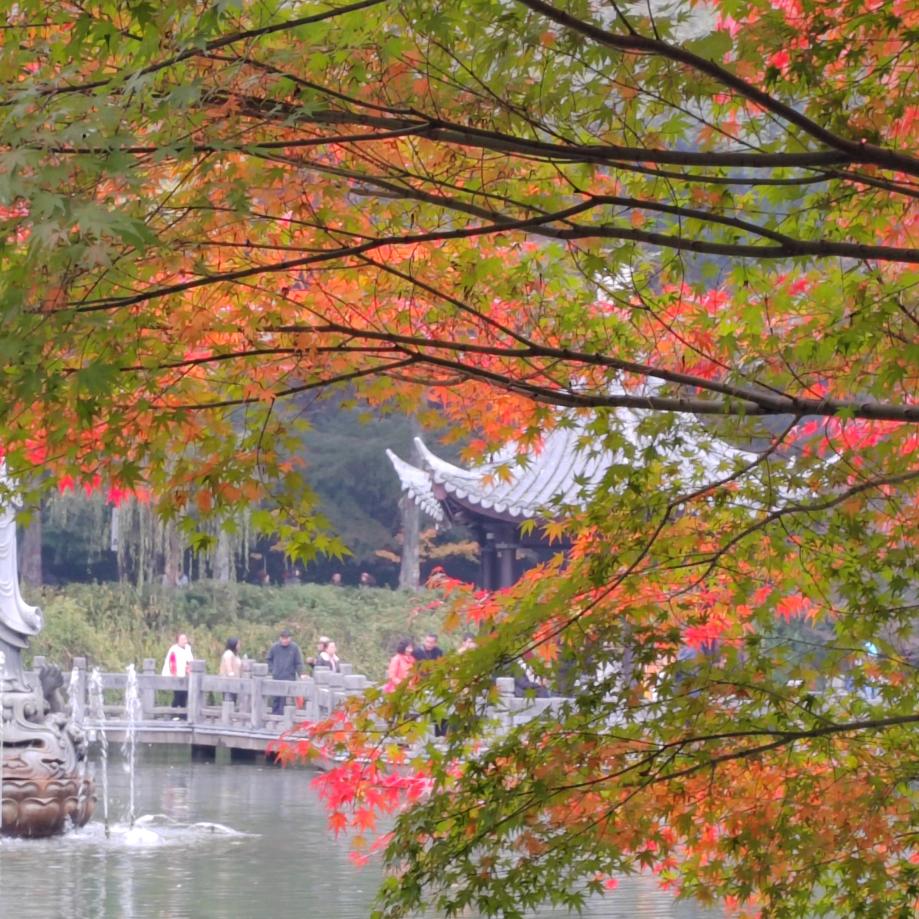 雨后阳光