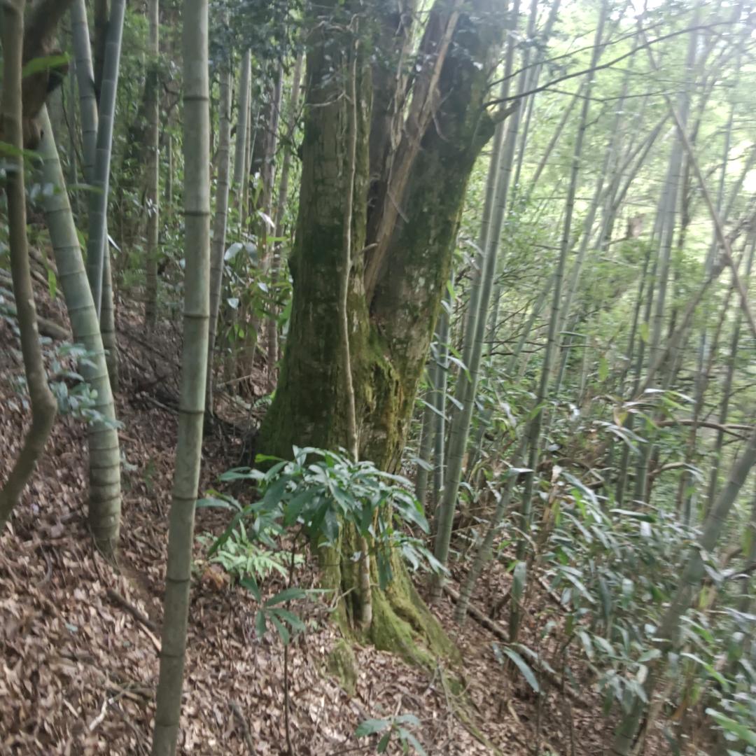 用户584918215970