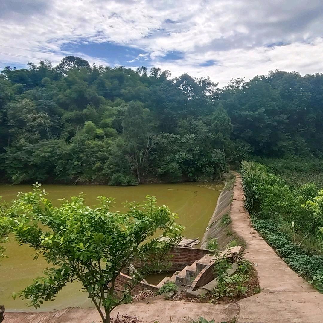 ～顺其自然～金鹏