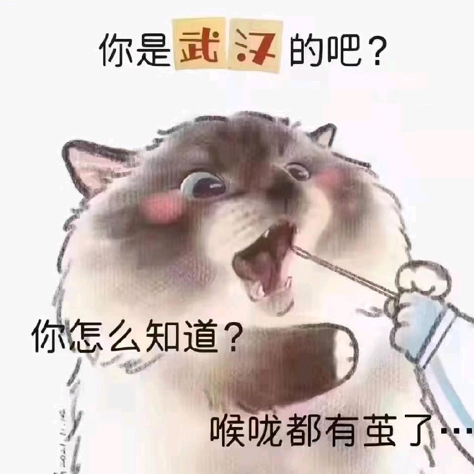 拔萝卜<掌门下山>