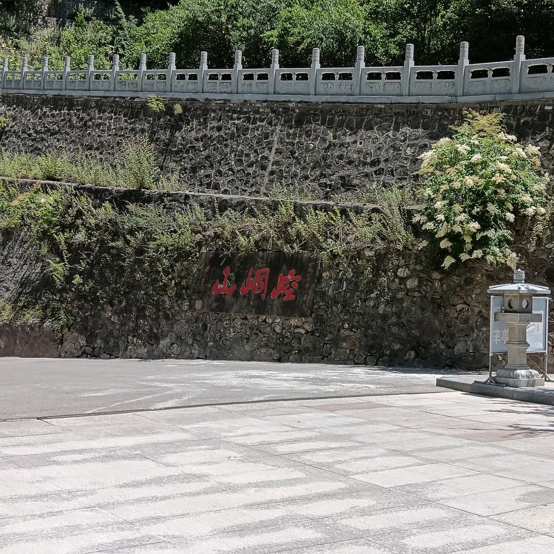 凤尾花