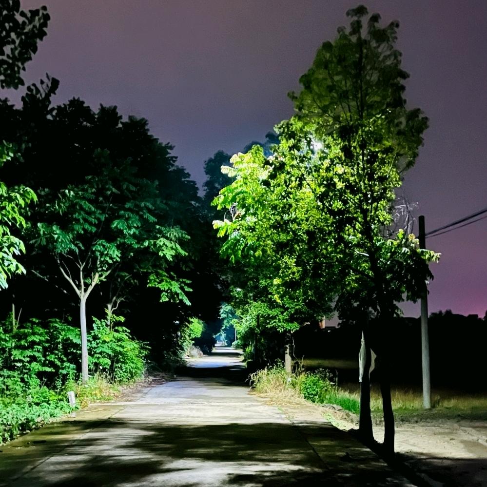黑夜萤火虫