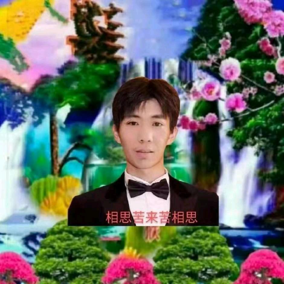 人怕无情心怕伤雪怕太阳草怕霜