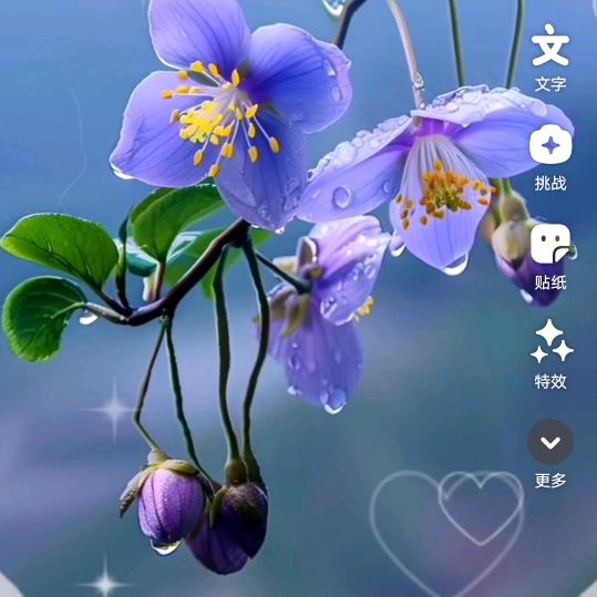 快乐梅一天