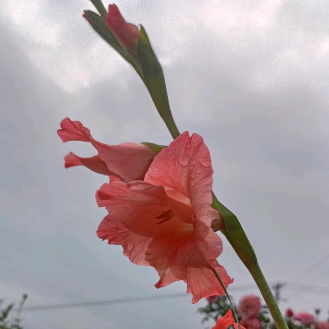 遇见，