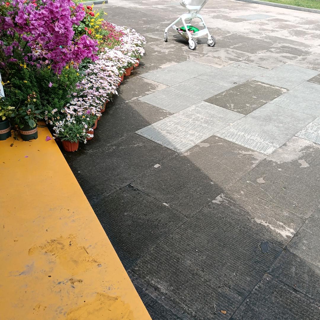 陈小小