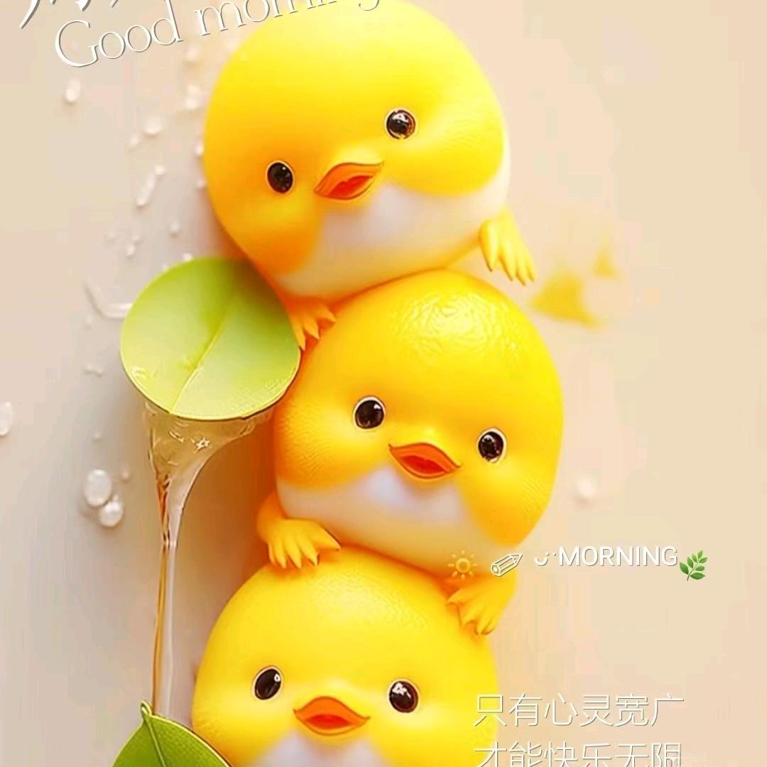小猫儿