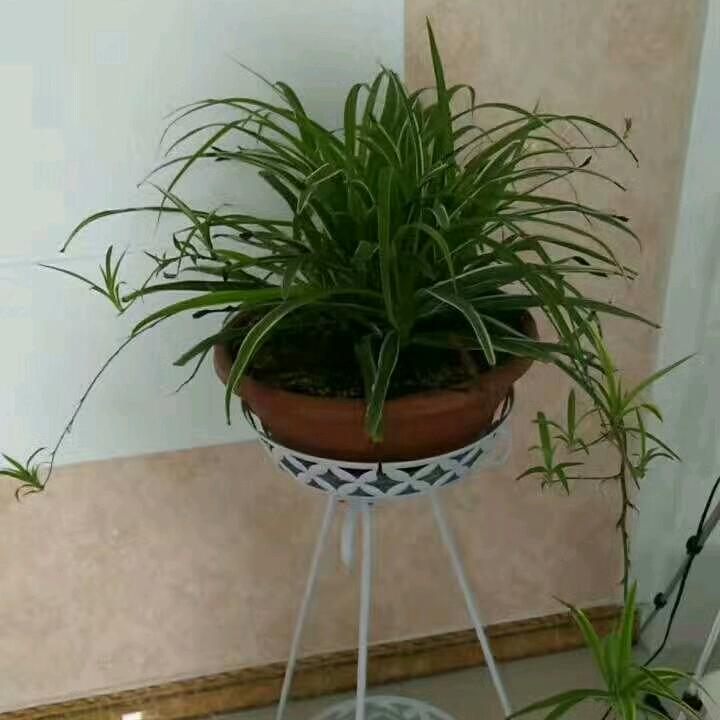 学会爱自己