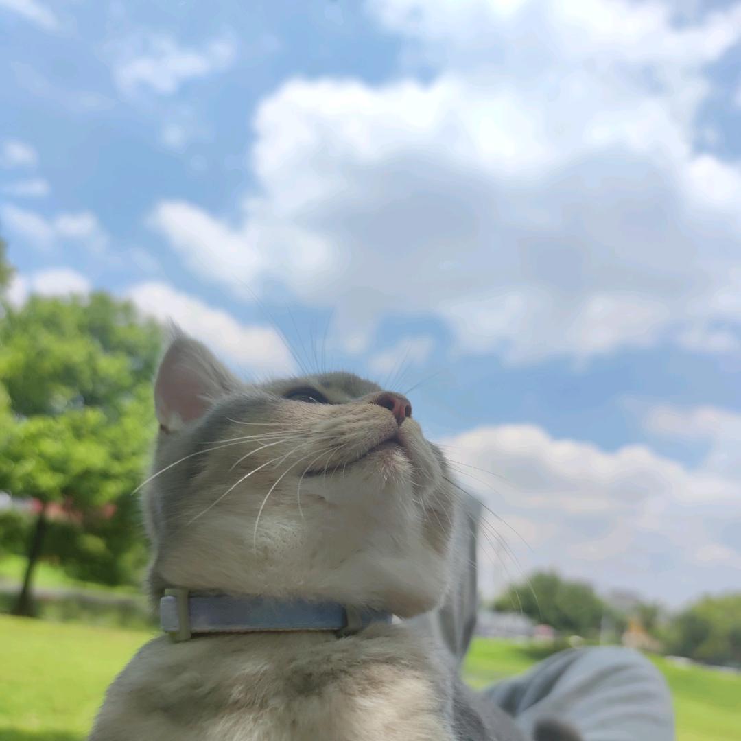今天晚上吃什么