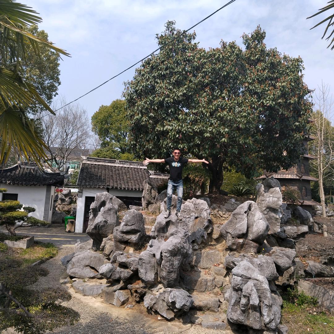 又要开始上班做牛做马它一天