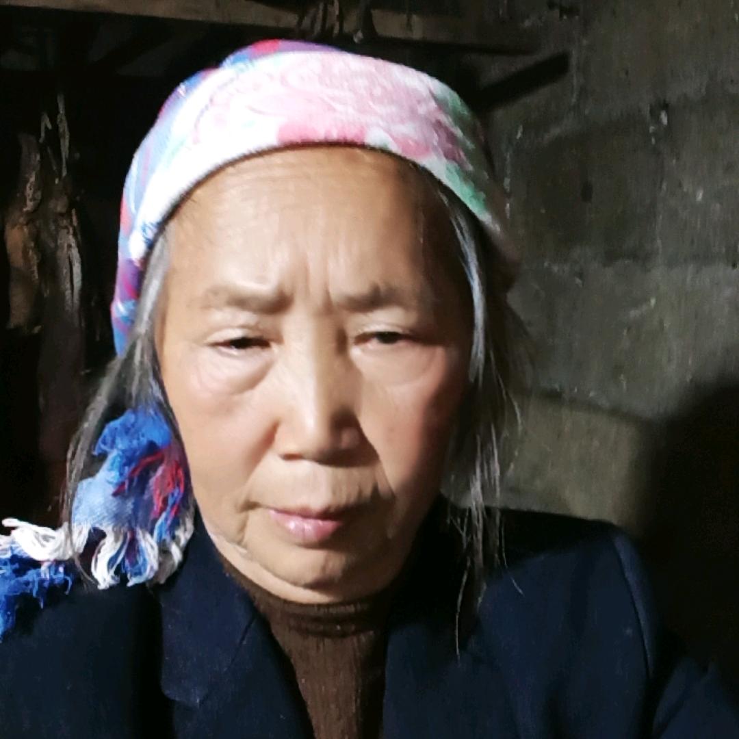 贵州奶（12点8分开播）
