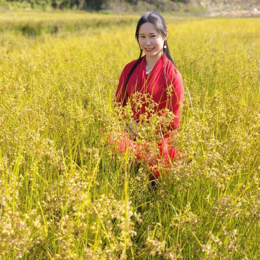 热爱生活的宝妈