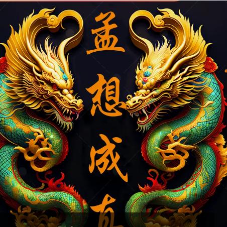 用户9560001215655孟