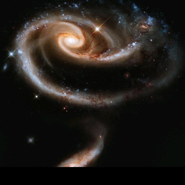 虾仁（封票中）