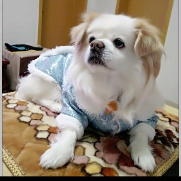 诠释爱