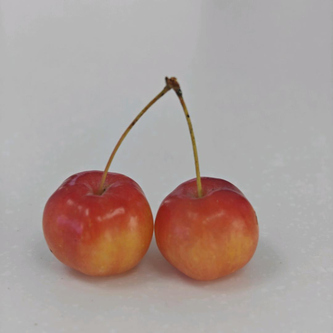 糖豆