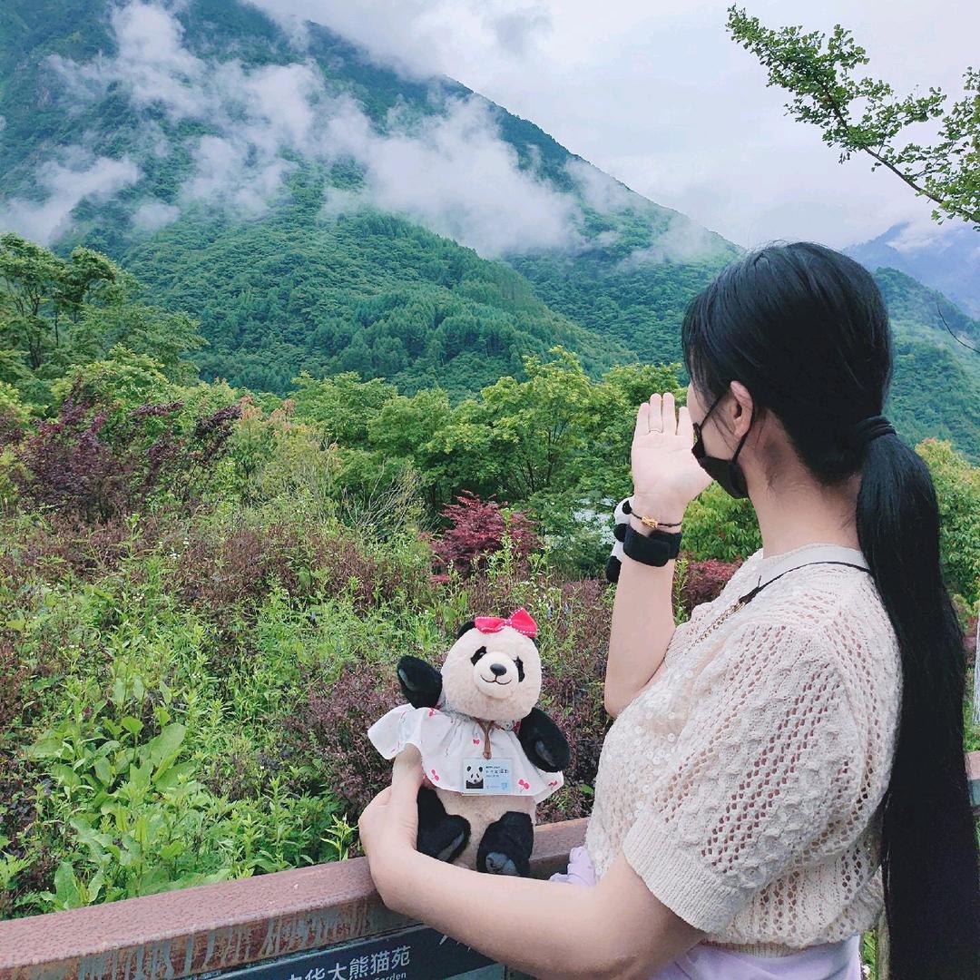 🎠鹏鹏