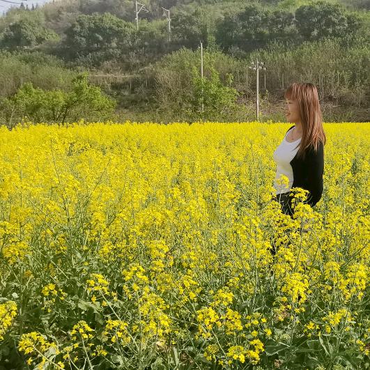 刘二小姐