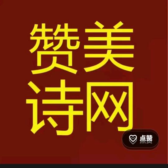 🌴一粒麦子🌿抖音号
