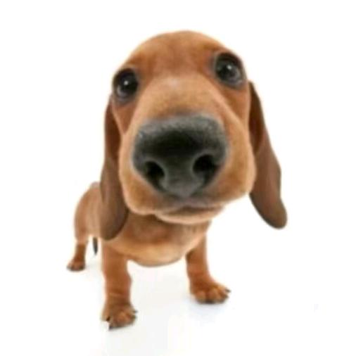 广州欲晓时尚优品小铺