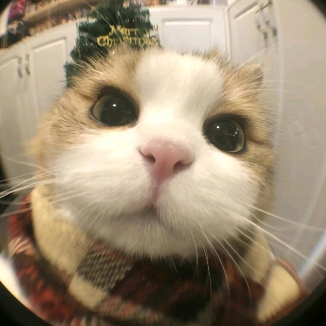 风小王