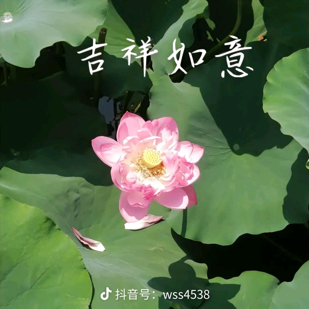 春天🌷开