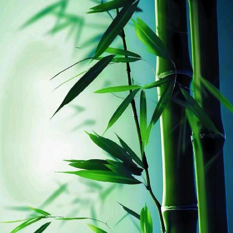 阳一