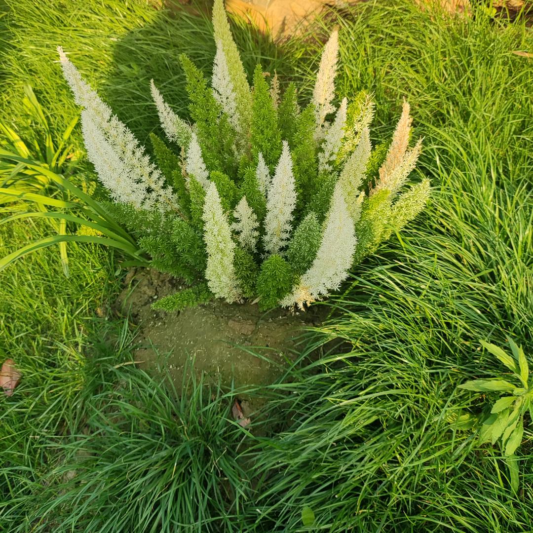 幸福一生💞🍀🍀