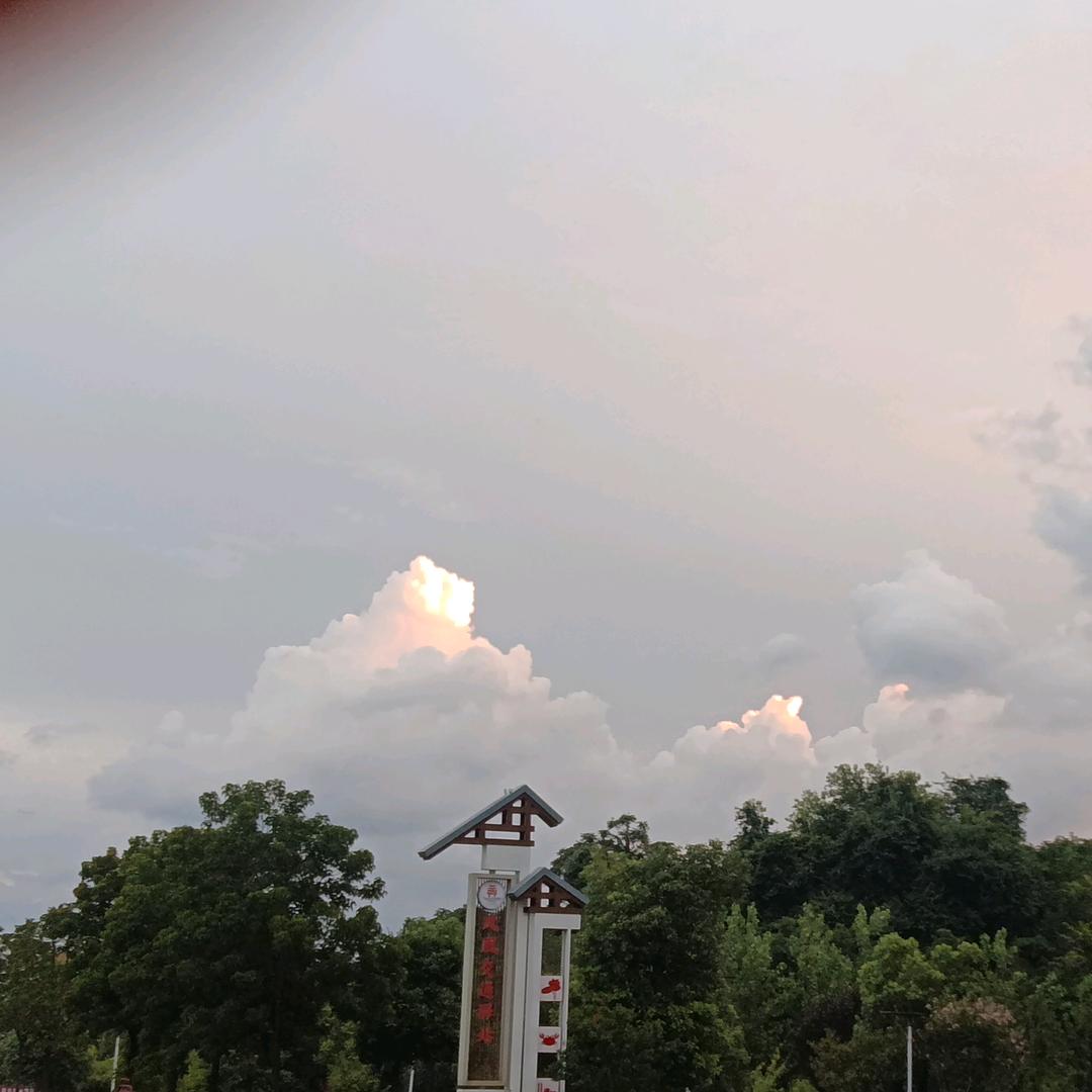 南河诚信割草机批发
