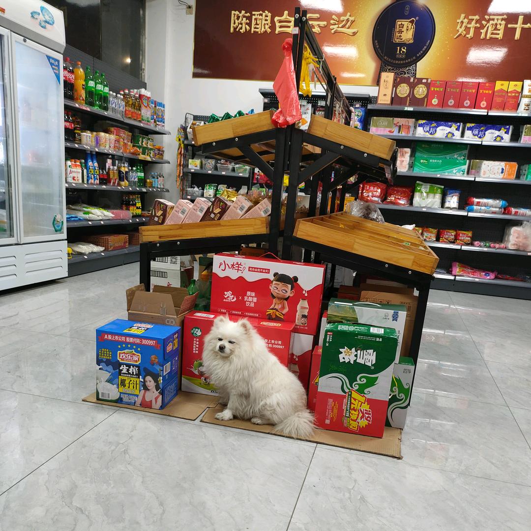 ＄一帆风顺( ﹡ˆoˆ﹡ )