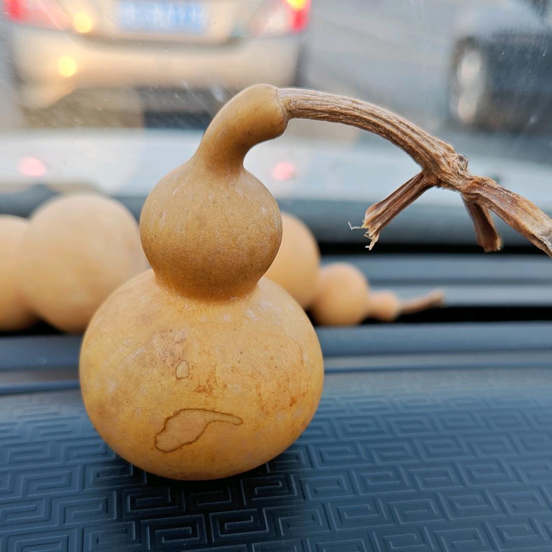 🍂亿农🍂（天泰种业新乡销售处）