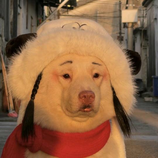 不可思议火星星✨✨✨