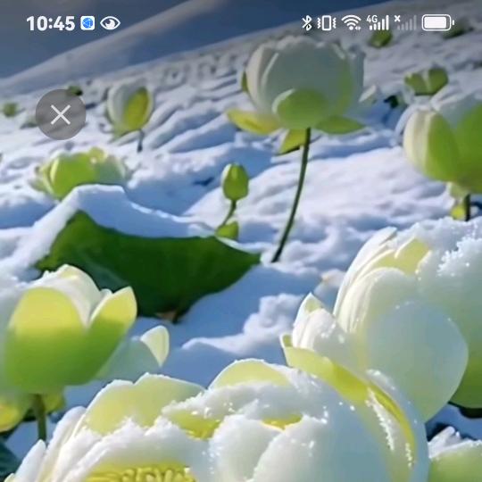 漠然