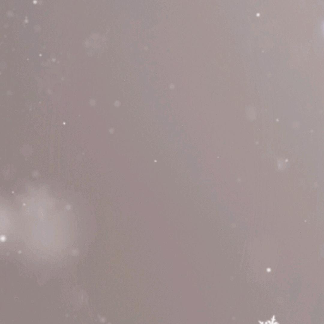 包