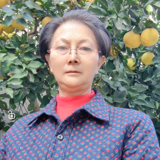 锦成家航