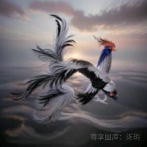 一生有你