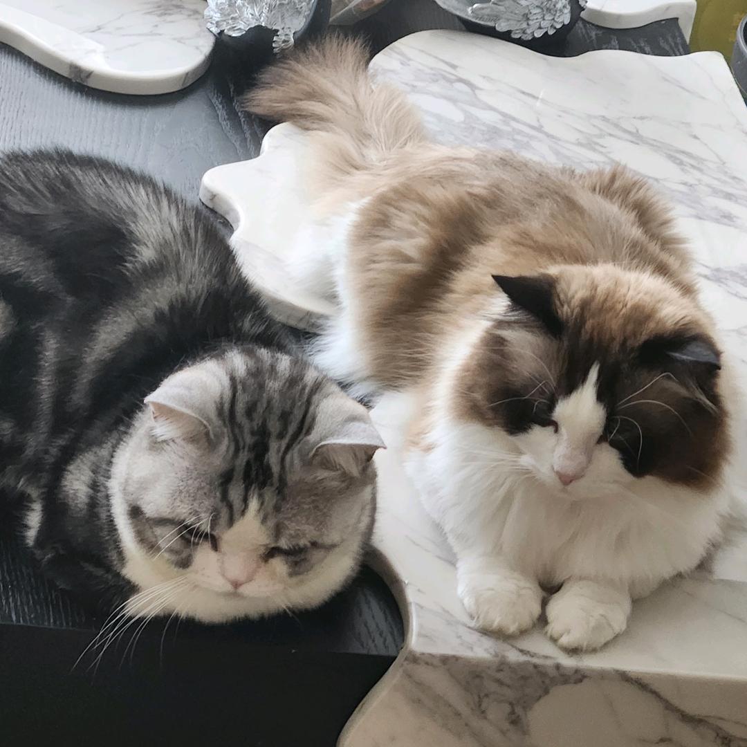 喜欢雪天(*๓´╰╯`๓)♡