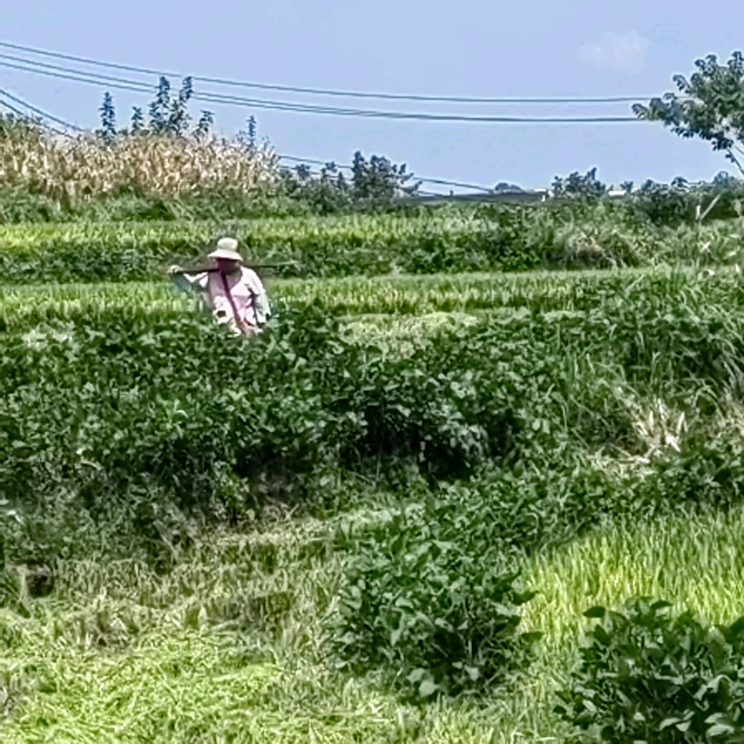 懂得珍惜