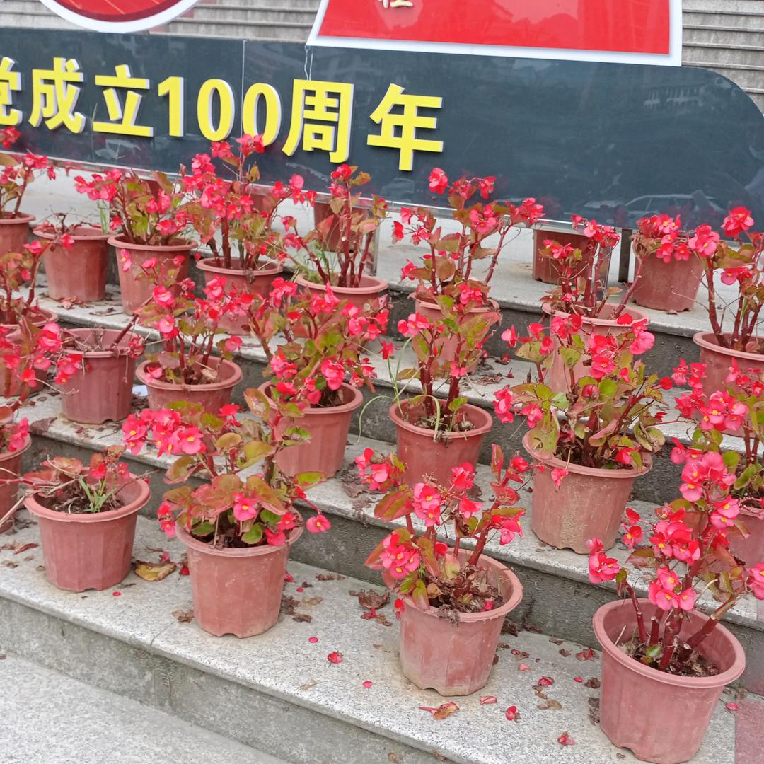 该死的温柔