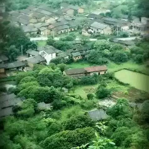 京都邦物流有限公司日邦鲜生鲜吃品蔬菜配送