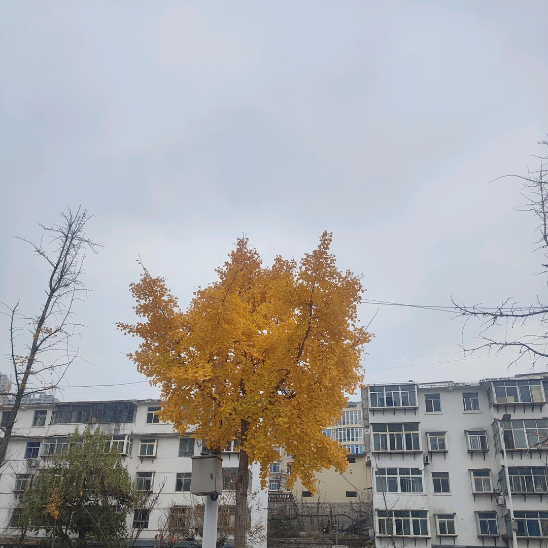 好久不见