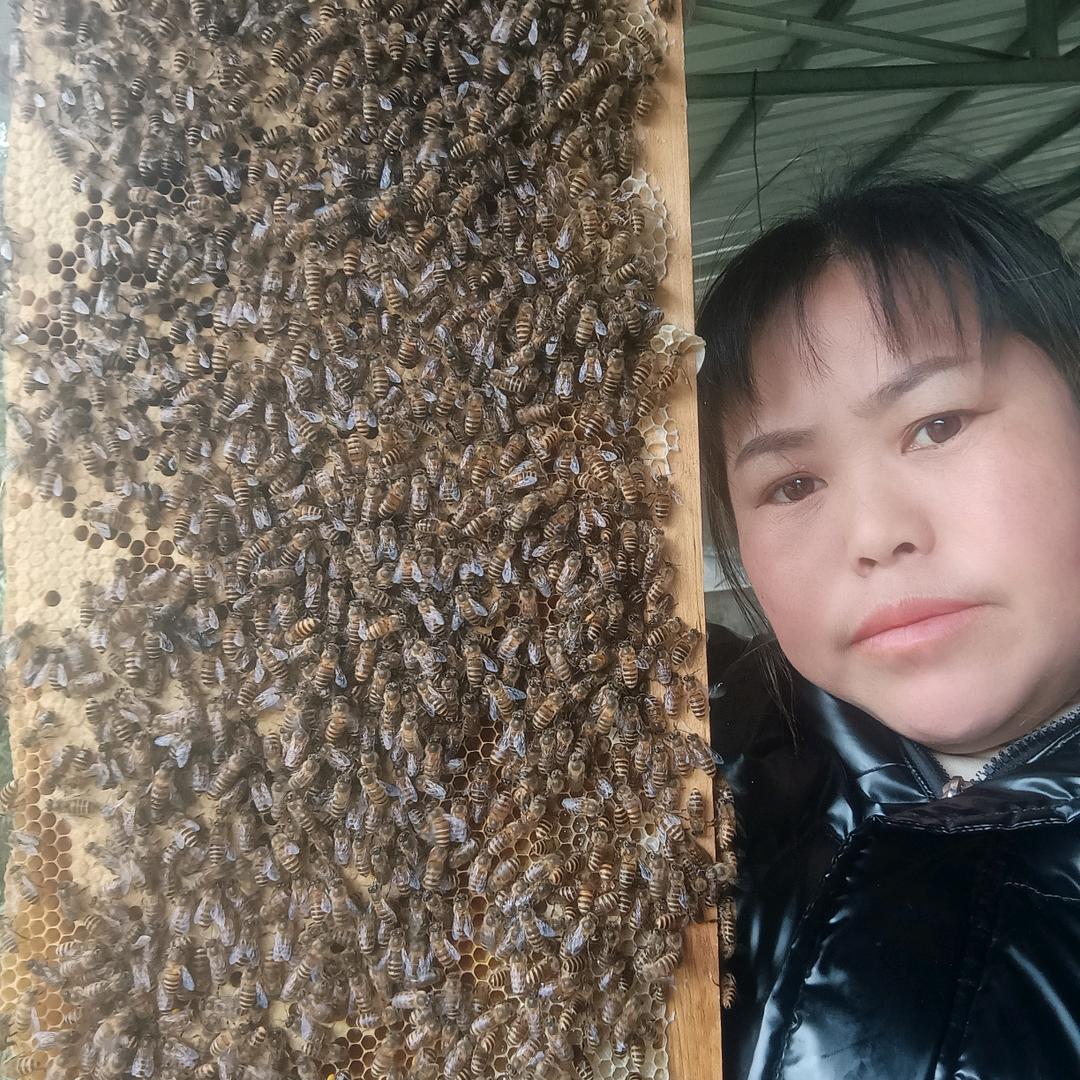 蒋蜂蜜